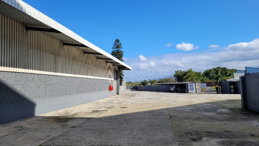 To Let commercial Property for Rent in Epping Industrial Western Cape